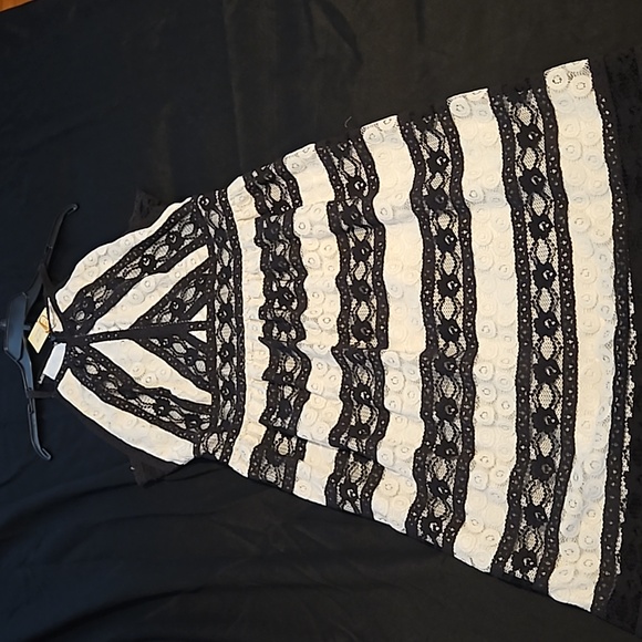 Laurette Lace Cocktail Dress, Size XL - Picture 2 of 4